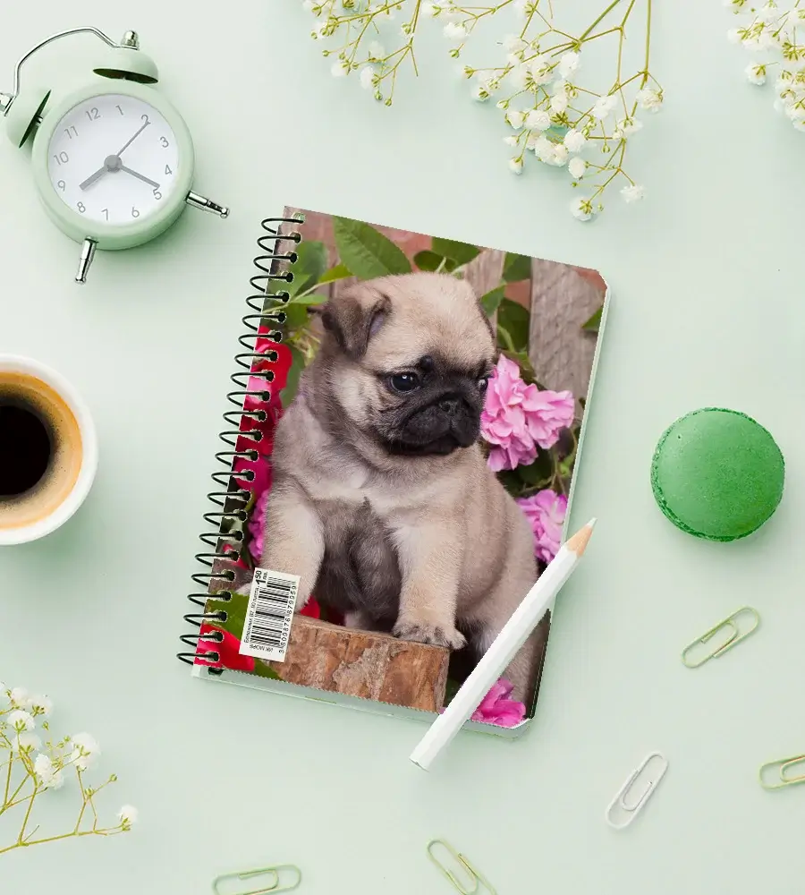 Notebook_10